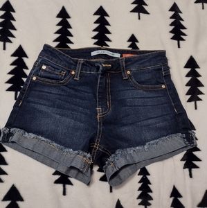 Celebrity Pink Denim Shorts